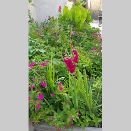 Apartment Buki **** Split