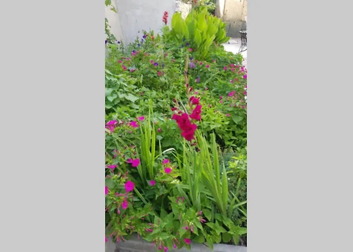 Apartment Buki **** Split